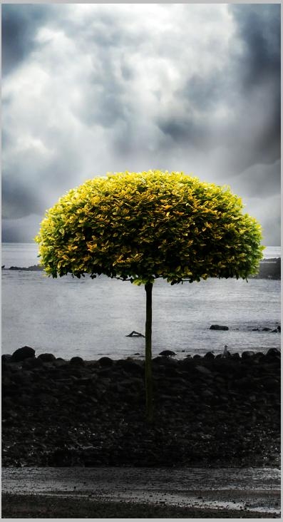 Creation of Nature Always Wins: Step 4